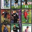 Toldo 8